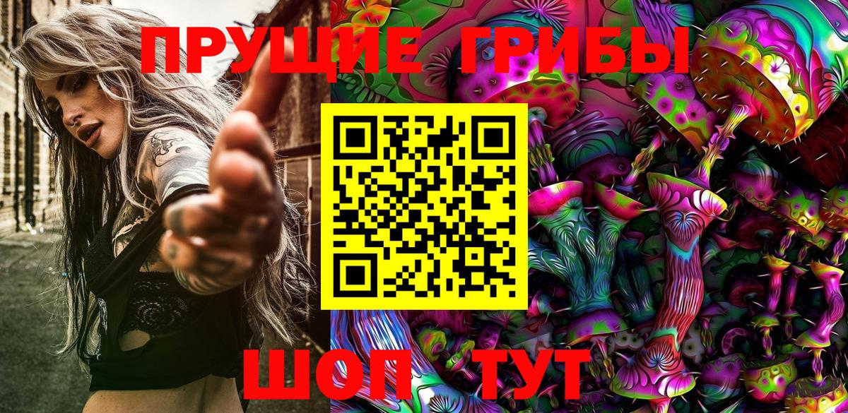 Галлюциногенные грибы Psilocybine cubensis  Вход с VPN  Ялта 